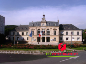 nid de guepes orsay