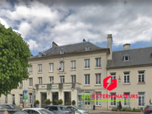 nid de guepes palaiseau