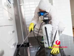 exterminateur cafard