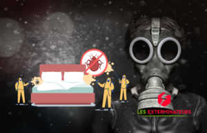 exterminateur essonne 1