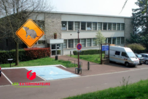 deratisation juvisy sur orge