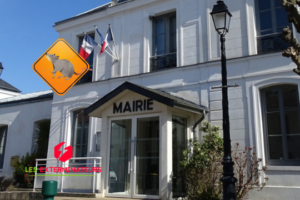 deratisation leuville sur orge