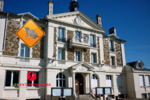 deratisation wissous