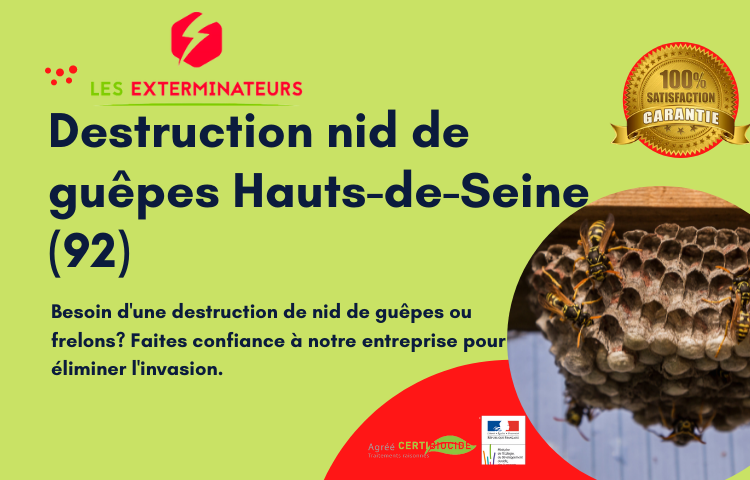 Destruction nid de guêpes Hauts-de-Seine 92