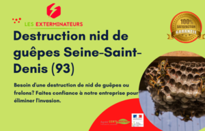 nid de guepes seine saint denis 93