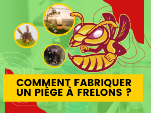 Comment fabriquer un piege a frelons