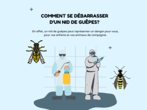 Comment se debarrasser dun nid de guepes