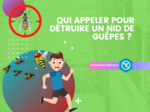 Qui appeler pour detruire un nid de guepes