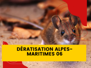 deratisation alpes maritimes