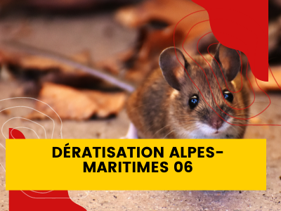 Dératisation Alpes-Maritimes
