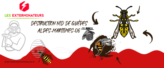 Destruction nid de guêpes Alpes-Maritimes