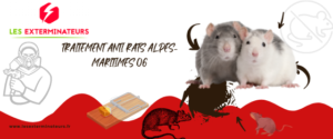 traitement anti rats 06