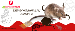 traitement anti souris 06