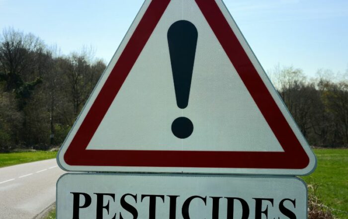 pesticides-chenilles-processionnaires