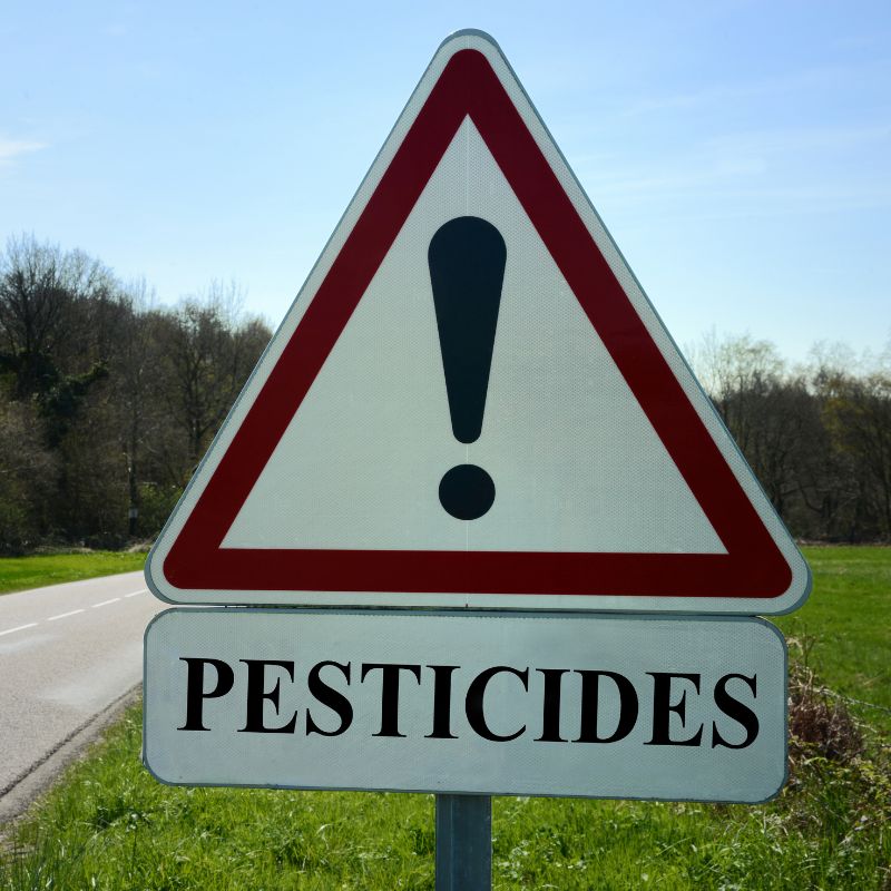 pesticides-chenilles-processionnaires