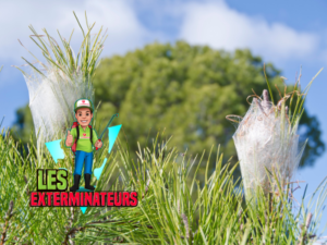 entreprise chenilles processionnaires traitement