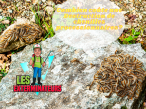 prix destruction chenilles processionnaires