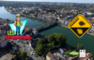 entreprise punaises de lit corbeil essonne