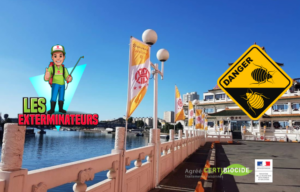 entreprise punaises de lit alforville