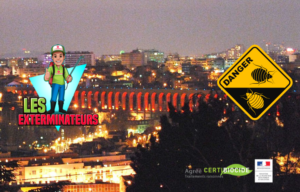 entreprise punaises de lit arcueil
