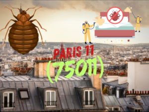 punaises de lit paris 10 2