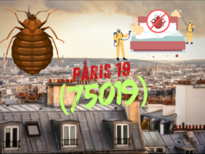 punaises de lit paris 19