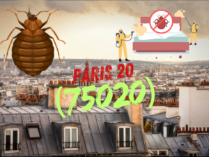 punaises de lit paris 20 1