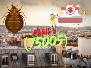 punaises de lit paris 5