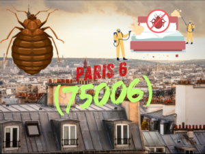 punaises de lit paris 6