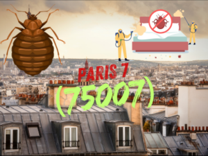 punaises de lit paris 7