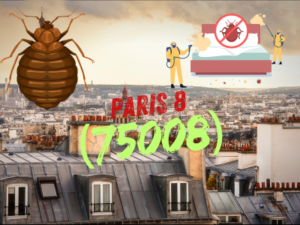 punaises de lit paris 8