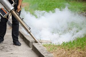 Traitement vapeur anti nuisibles