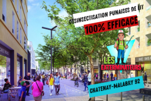 entreprise punaise de lit chatenay malabry