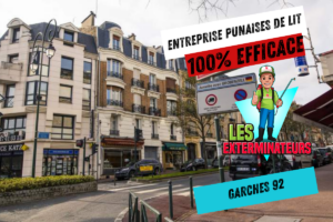 entreprise punaises de lit garches