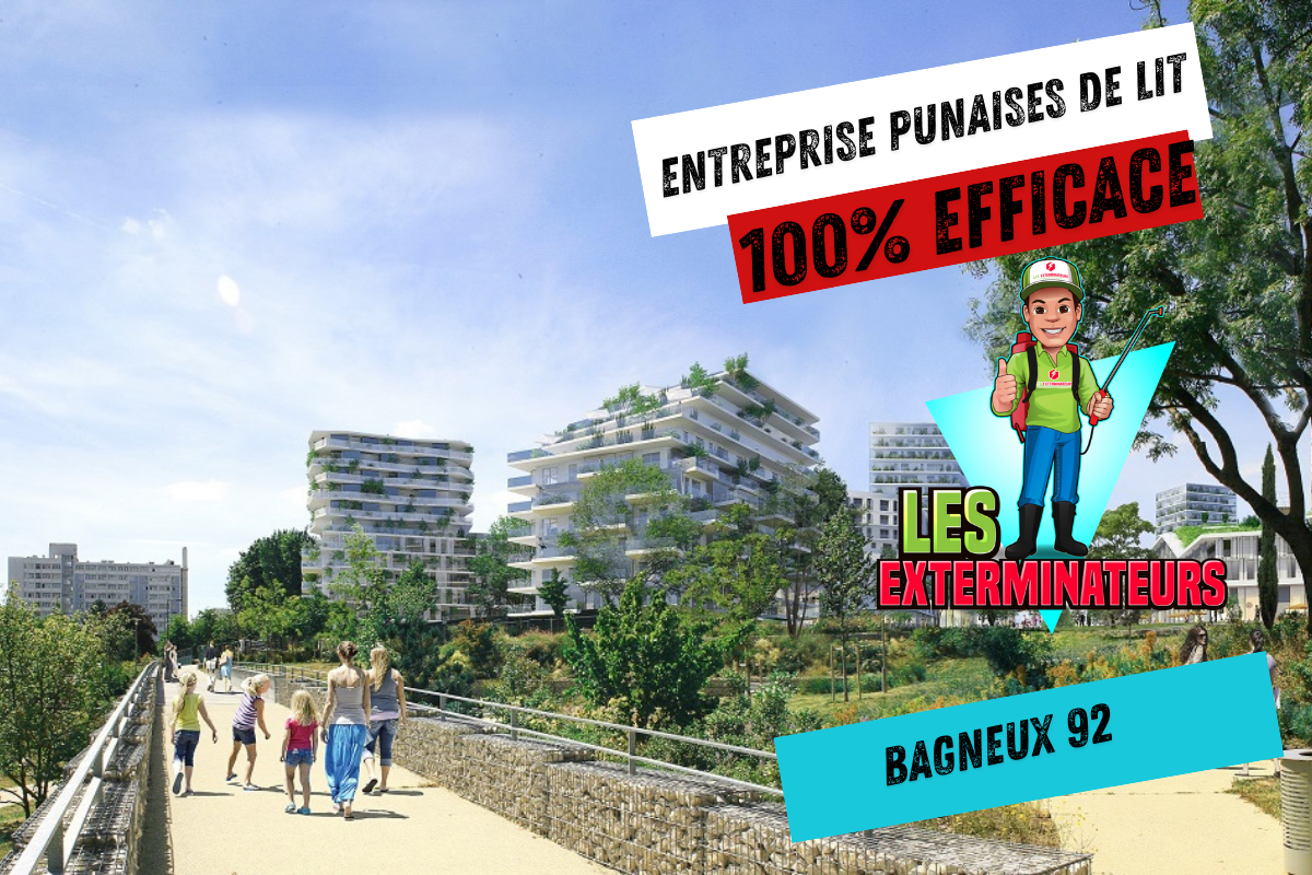 Exterminateur punaises de lit Bagneux