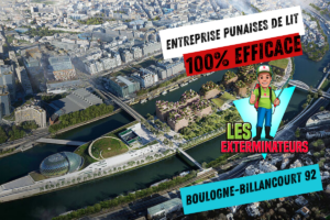exterminateur punaises de lit boulogne billancourt