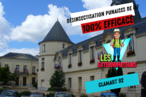 exterminateur punaises de lit clamart