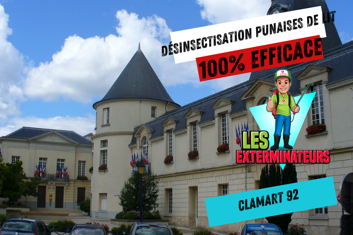 Exterminateur punaises de lit Clamart