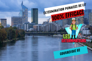 intervention punaises de lit courbevoie