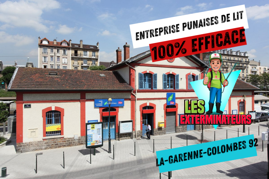 intervention punaises de lit garenne colombes