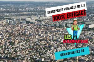 intervention punaises de lit gennevilliers