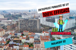 intervention punaises de lit malakoff
