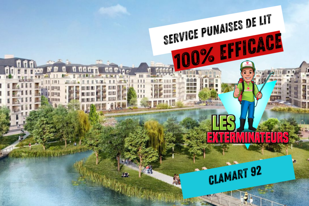 servcice punaises de lit clamart