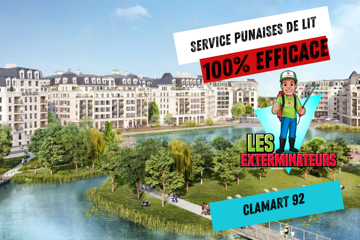 Service punaises de lit Clamart