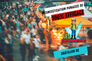 service punaises de lit chatillon