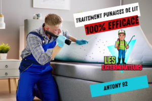 traitement punaises de lit antony