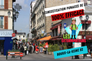 traitement punaises de lit bourg la reine 92340