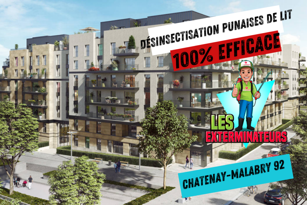 traitement punaises de lit chatenay malabry