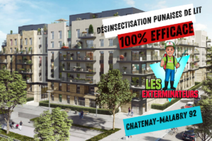 traitement punaises de lit chatenay malabry