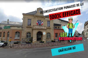 traitement punaises de lit chatillon